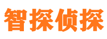 从江商务调查